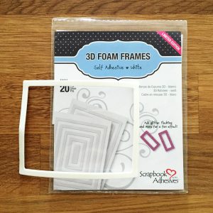 A Little Something Shaker Card with 3D Foam Frames