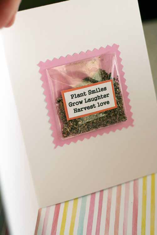 Enjoy card with flower seeds insdie
