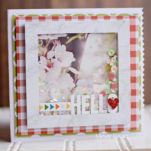 Hello Shaker Card by Michele Kovack for Scrapbook Adhesives by 3L/PHP BHop17