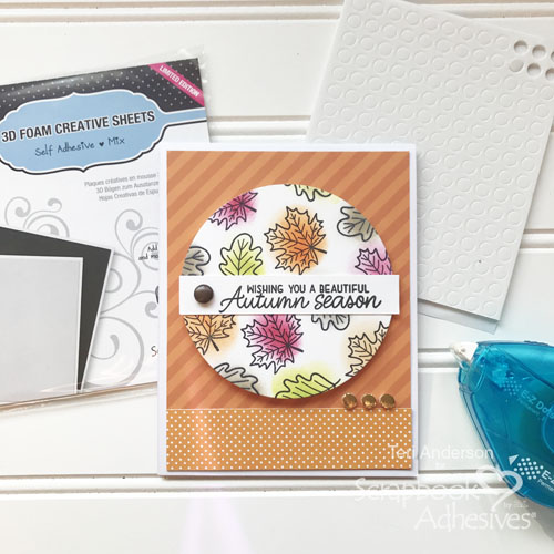 Interactive Peek-a-Boo Slider Card Tutorial by Teri Anderson for Scrapbook Adhesives by 3L