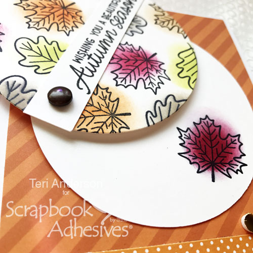 Interactive Peek-a-Boo Card Tutorial by Teri Anderson for Scrapbook Adhesives by 3L