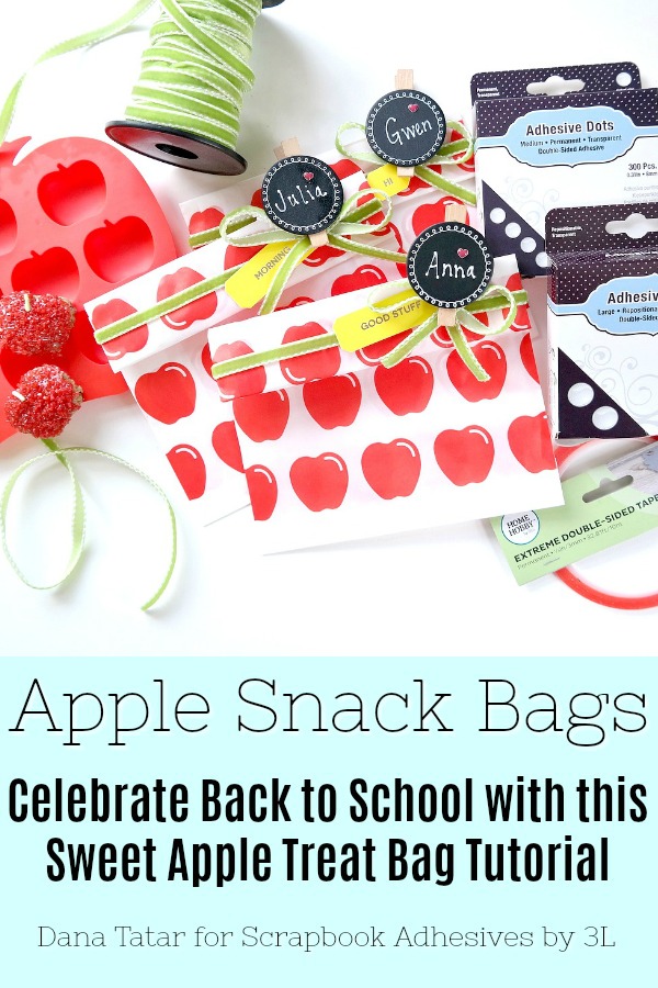 Back to School Apple Snack Bag Tutorial