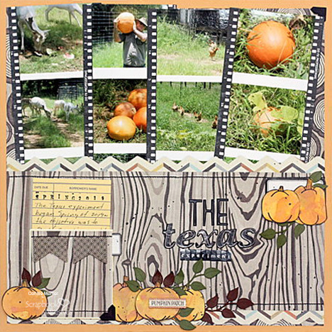 Pumpkin Patch Pocket Page Tutorial by Connie Mercer for Scrapbook Adhesives by 3L