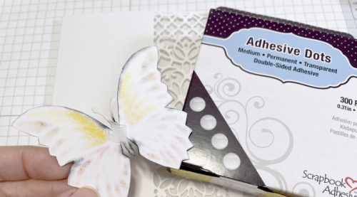 Butterfly and Lace Transparency Card by Martha Lucia Gomez for Scrapbook Adhesives by 3L