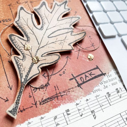 Thanks Leaf Card Tutorial by Teri Anderson for Scrapbook Adhesives by 3L