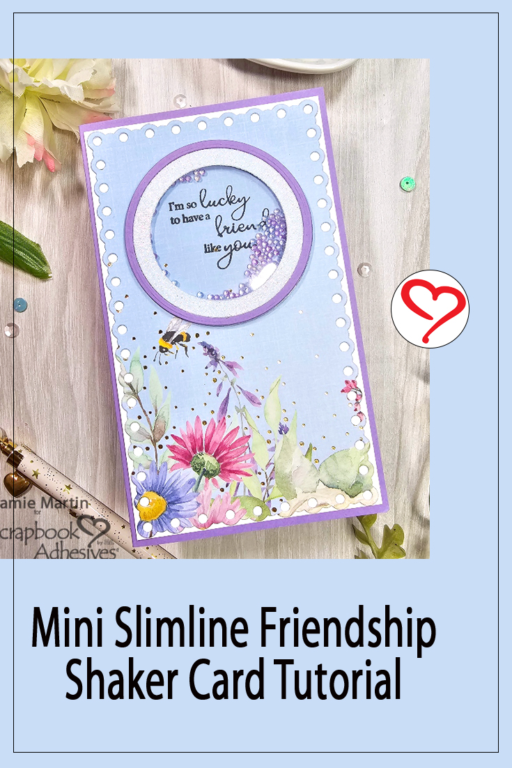 Mini Slimline Friendship Shaker Card by Jamie Martin for Scrapbook Adhesives by 3L Pinterest 