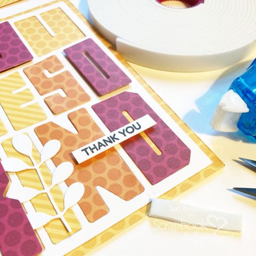 So Kind Thanks Card Tutorial by Teri Anderson for Scrapbook Adhesives by 3L