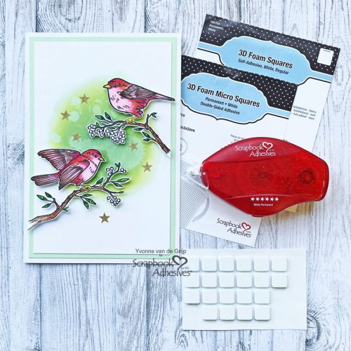 All Occasion Sweet Bird and Star Card by Yvonne van de Grijp for Scrapbook Adhesives by 3L 