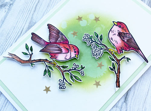 All Occasion Sweet Bird and Star Card by Yvonne van de Grijp for Scrapbook Adhesives by 3L 