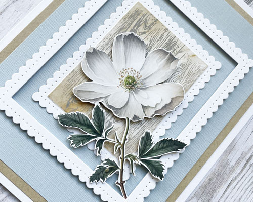 Framed Botanical Card by Yvonne van de Grijp for Scrapbook Adhesives by 3L 