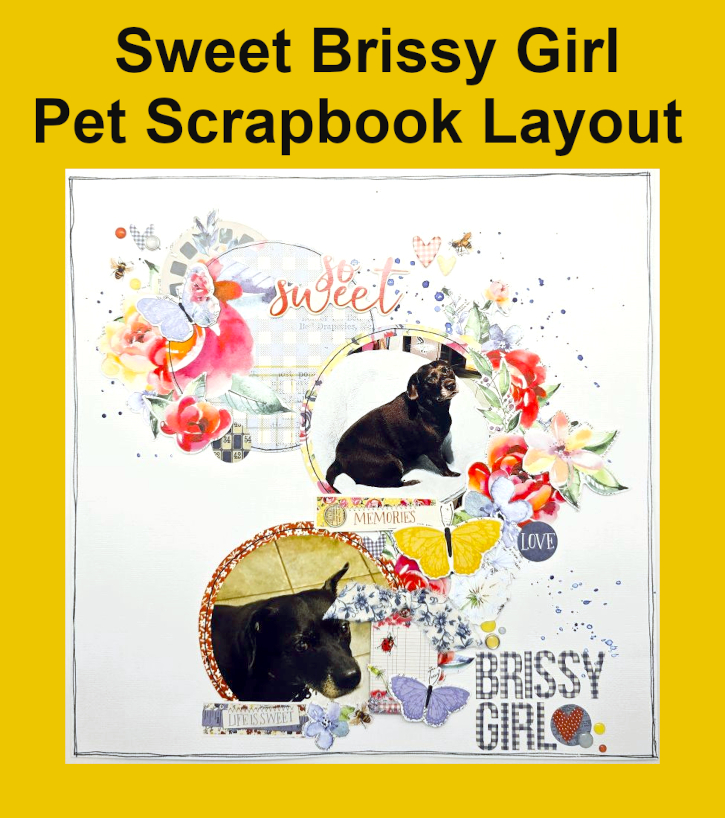 Sweet Brissy Girl Pet Scrapbook Layout by Kristin Rizzo for Scrapbook Adhesives by 3L Pinterest 