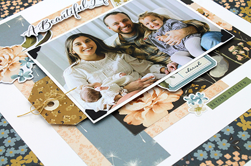 Sweet and Simple Family Layout by Tracy McLennon for Scrapbook Adhesives by 3L