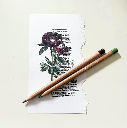 Any Occasion Botanical Card by Yvonne van de Grijp for Scrapbook Adhesives by 3L