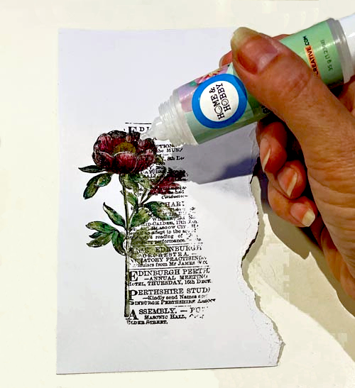 Any Occasion Botanical Card by Yvonne van de Grijp for Scrapbook Adhesives by 3L