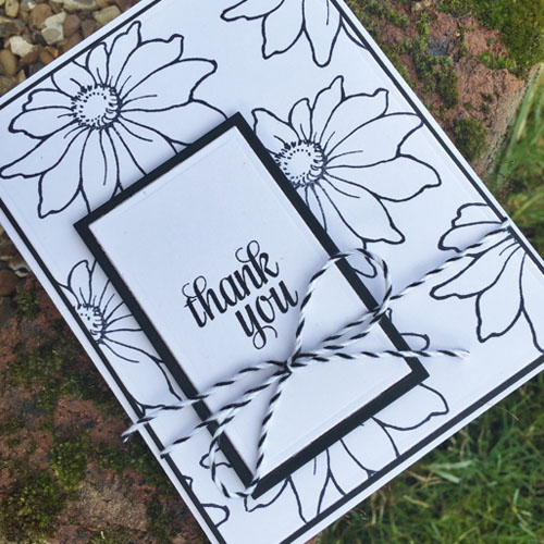 Daisy Mix Thank You Card by Christine Emberson